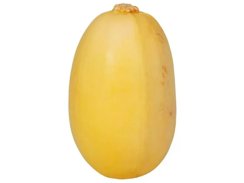 GTIN-0000000073318-02