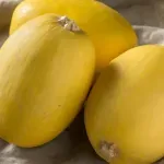 GTIN-0000000073318-03