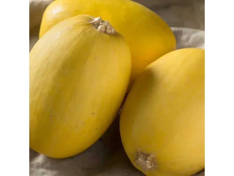 GTIN-0000000073318-03