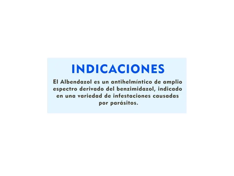 GTIN-0000007410181-07