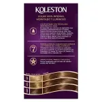 GTIN-7411002100538-03