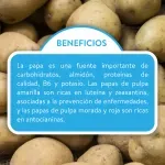 GTIN-0000000040723-02