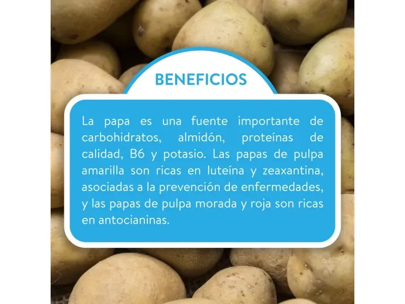 GTIN-0000000040723-02