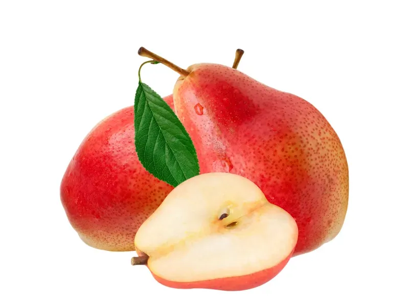 GTIN-0000000044103-01