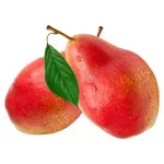 GTIN-0000000044103-02