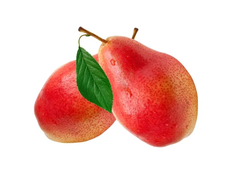 GTIN-0000000044103-02