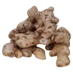 GTIN-0000000074483-01