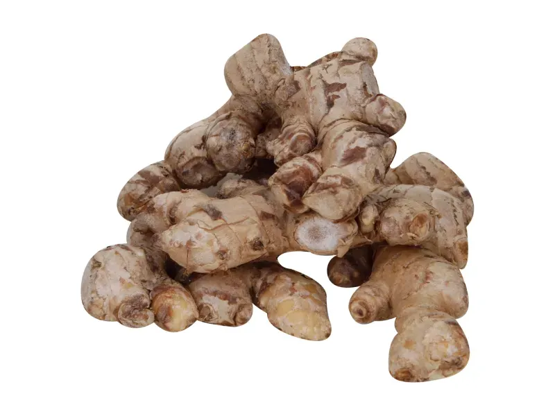 GTIN-0000000074483-01