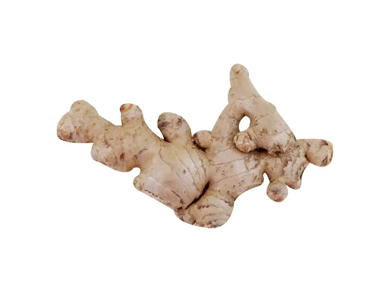 GTIN-0000000074483-02