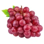 GTIN-0000000073714-01