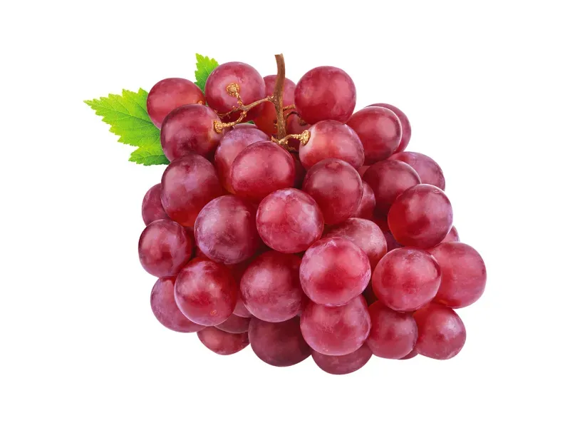 GTIN-0000000073714-01