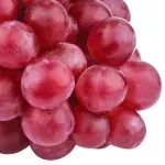 GTIN-0000000073714-02