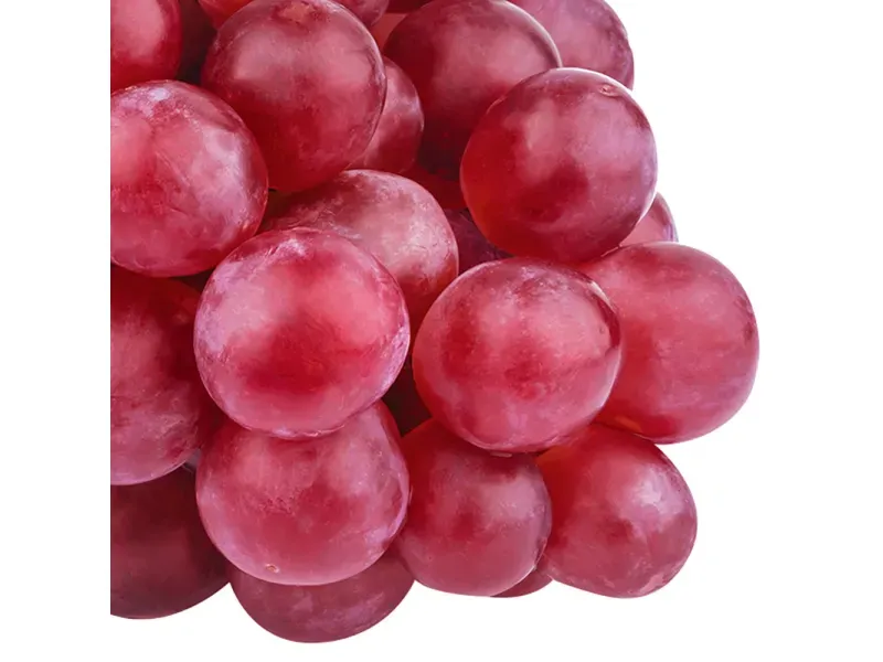 GTIN-0000000073714-02