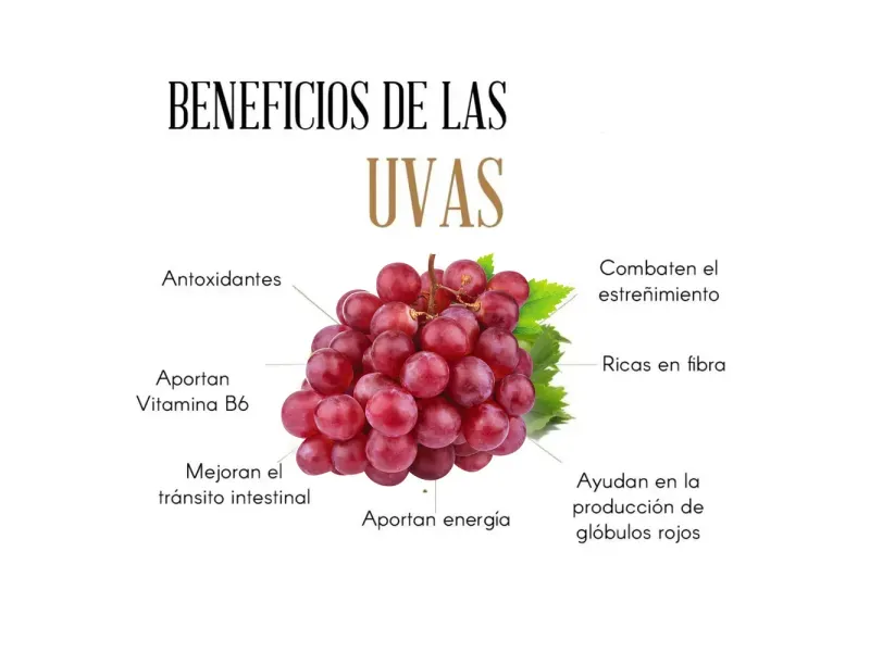 GTIN-0000000073714-03