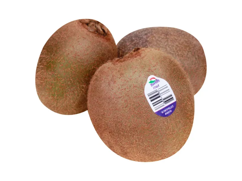 GTIN-0000000073851-01