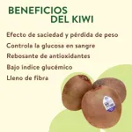 GTIN-0000000073851-03