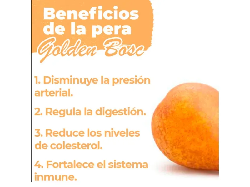 GTIN-0000000044134-04