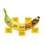 GTIN-0000000041126-03