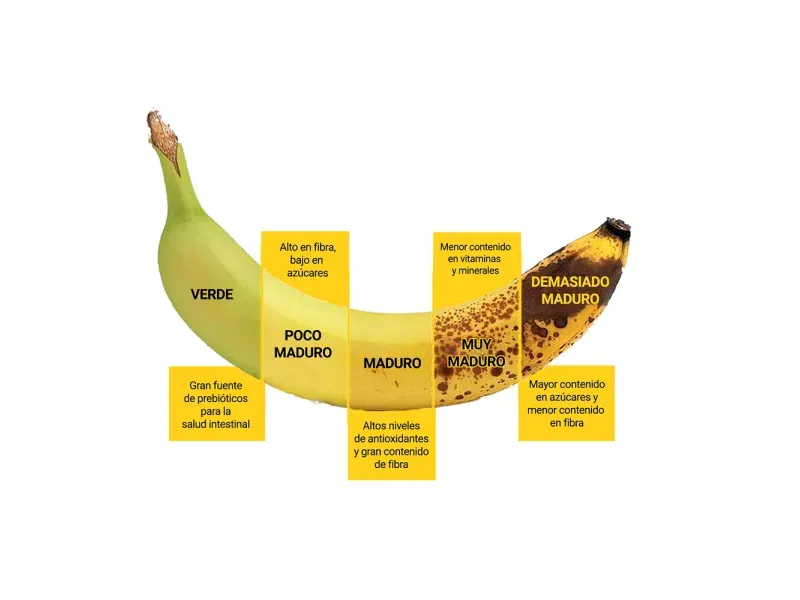 GTIN-0000000041126-03