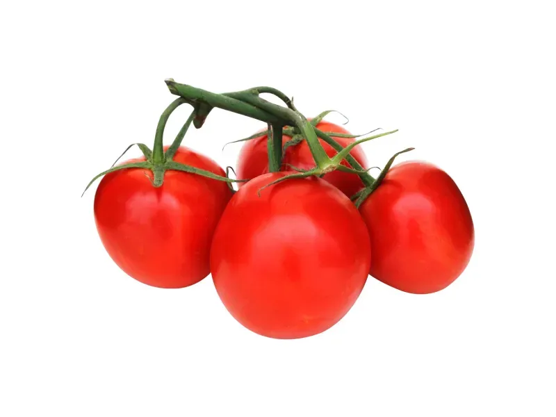 GTIN-0000000061636-03