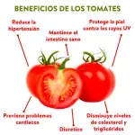 GTIN-0000000061636-04