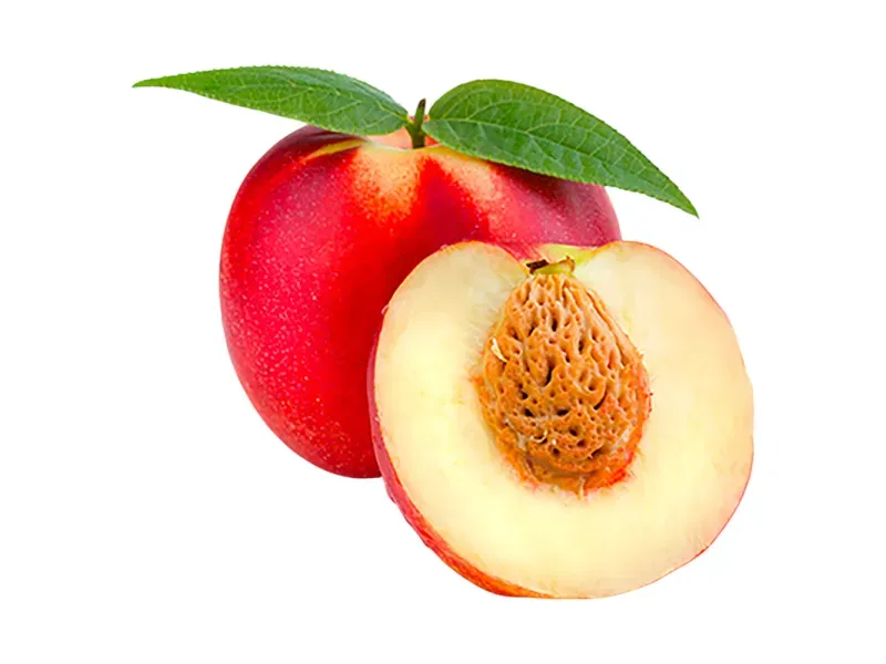 GTIN-0000000071642-01