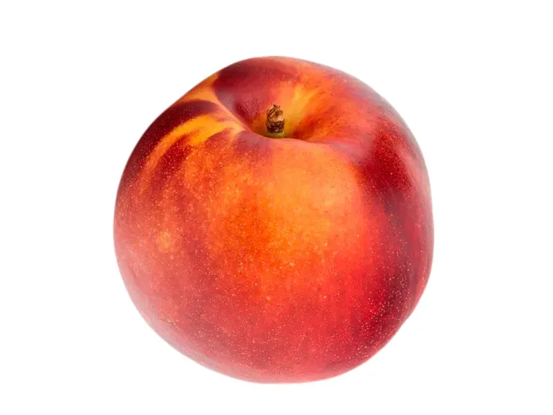 GTIN-0000000071642-02