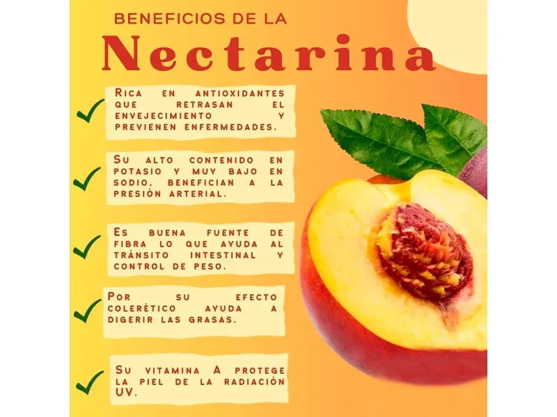 GTIN-0000000071642-03