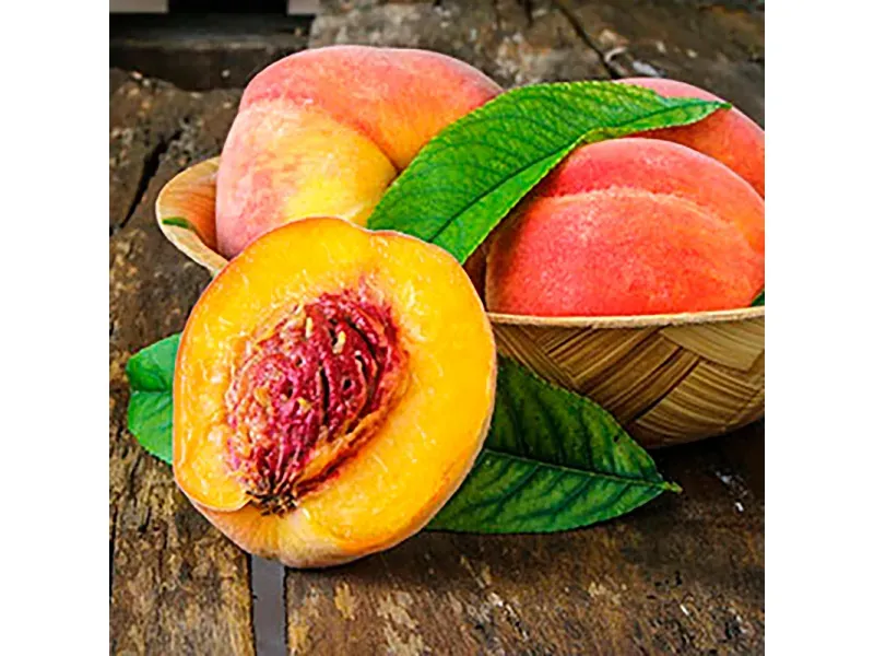 GTIN-0000000071642-04