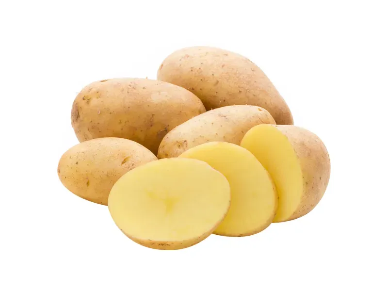 GTIN-0000000040839-01