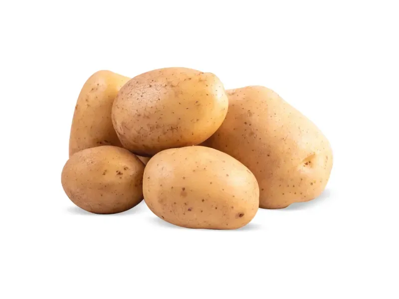 GTIN-0000000040839-02