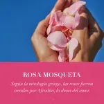 GTIN-0381519180767-06