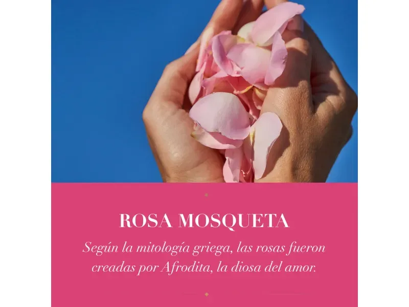 GTIN-0381519180767-06