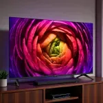 GTIN-0195174074435-06