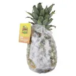 GTIN-0000000085496-02