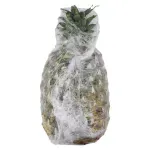 GTIN-0000000085434-02