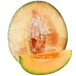 GTIN-0000000072670-01