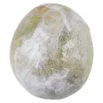 GTIN-0000000072670-02