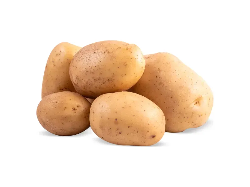 GTIN-0000000047289-01