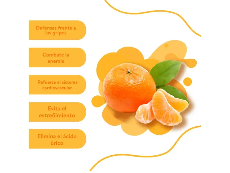 GTIN-0000000033831-03