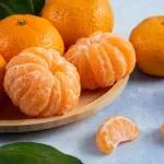 GTIN-0000000033831-04