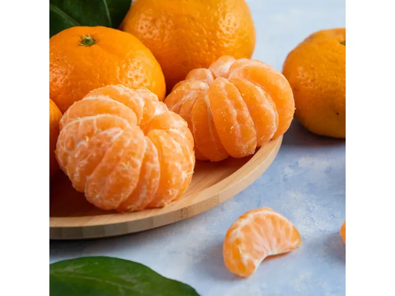 GTIN-0000000033831-04