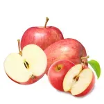 GTIN-0000000041935-01