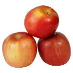 GTIN-0000000041935-02