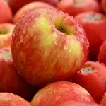 GTIN-0000000041935-04