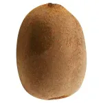 GTIN-0000000074650-02