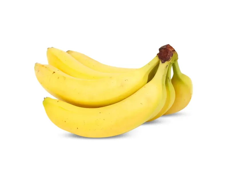 GTIN-0000000073295-01