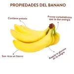 GTIN-0000000073295-02