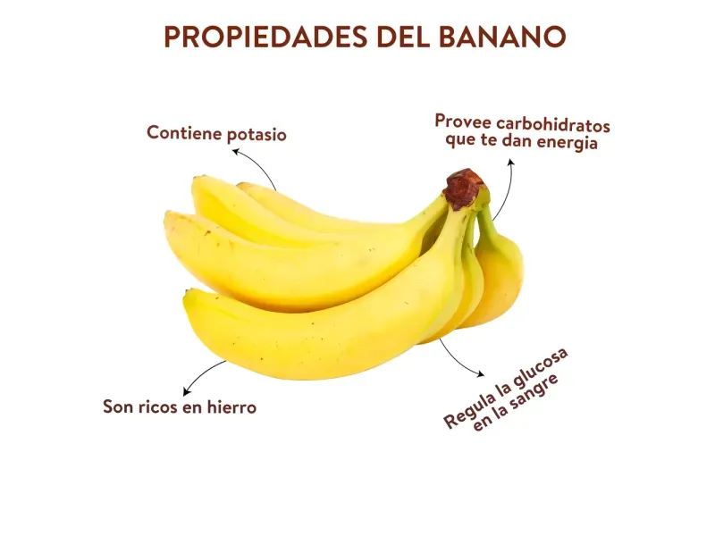 GTIN-0000000073295-02