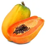 GTIN-0000000086028-02